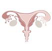 Gynaecology &amp; Fertility